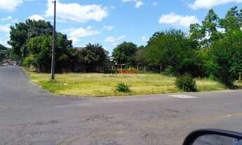 Imagem 3: Terreno para Venda em Figueira Igrejinha-RS - 445
