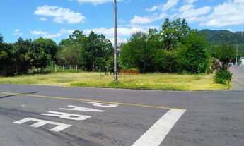 Imagem 4: Terreno para Venda em Figueira Igrejinha-RS - 445