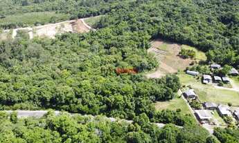 Imagem 2: Área de terra com mais de 7,3 hectares em Igrejinha