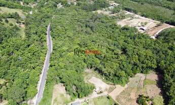 Imagem 6: Área de terra com mais de 7,3 hectares em Igrejinha