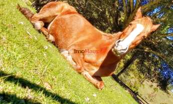 Imagem 3: Sítio com açude em Nova Aurora