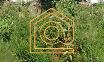 Imagem: CASA IMÓVEIS VENDE EXCELENTE TERRENO