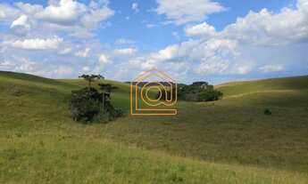 Imagem: ÓTIMA FAZENDA EM VILA OLIVA!