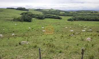 Imagem 2: CASA IMÓVEIS VENDE ÓTIMA FAZENDA, COM 500 HECTARES