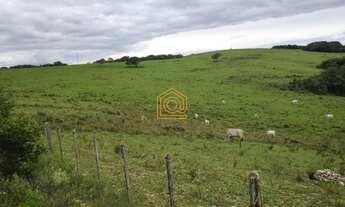 Imagem 4: CASA IMÓVEIS VENDE ÓTIMA FAZENDA, COM 500 HECTARES