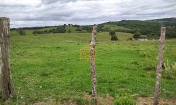 Imagem 5: CASA IMÓVEIS VENDE ÓTIMA FAZENDA, COM 500 HECTARES