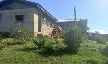 Imagem: ÓTIMA FAZENDA EM CAZUZA FERREIRA 131 HECTARES