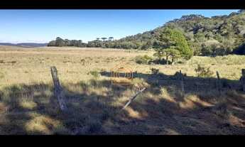 Imagem 5: ÓTIMA FAZENDA EM SÃO JOSÉ DOS AUSENTES