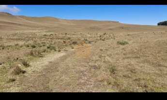 Imagem 6: ÓTIMA FAZENDA EM SÃO JOSÉ DOS AUSENTES