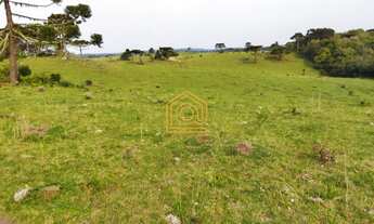 Imagem 3: ÓTIMA FAZENDA EM CAZUZA FERREIRA!