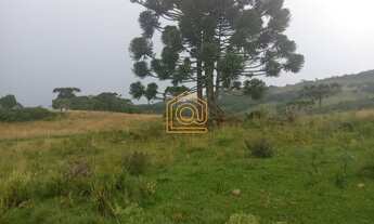 Imagem: Fazenda com 3 Dormitorio(s) localizado(a)