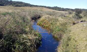 Imagem: ÓTIMA ÁREA PARA CRIAÇÃO DE GADO