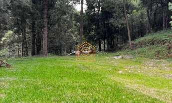 Imagem 4: Chácara próximo ao centro