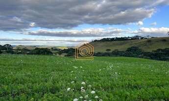 Imagem 2: Imóvel à venda em área rural de Caxias do Sul, Criúva
