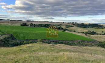 Imagem 3: Imóvel à venda em área rural de Caxias do Sul, Criúva