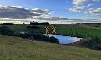 Imagem 1: Imóvel à venda em área rural de Caxias do Sul, Criúva