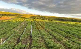 Imagem 5: Imóvel à venda em área rural de Caxias do Sul, Criúva