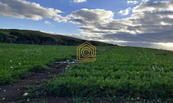 Imagem 6: Imóvel à venda em área rural de Caxias do Sul, Criúva