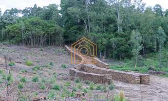 Imagem 4: VENDE ÁREA DE TERRAS