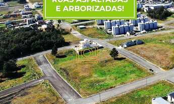 Imagem 3: Terreno com 2 Dormitorio(s) localizado(a) no bairro São Francisco em Farroupilha / Rio Gr