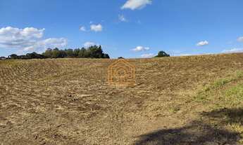 Imagem 6: Área de terra Terreno / lote com venda por R$7.980.000