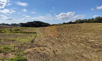 Imagem 7: Área de terra Terreno / lote com venda por R$7.980.000