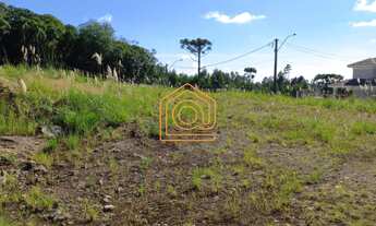 Imagem 4: Terreno com 2 Dormitorio(s) localizado(a) no bairro São Francisco em Farroupilha / Rio Gr