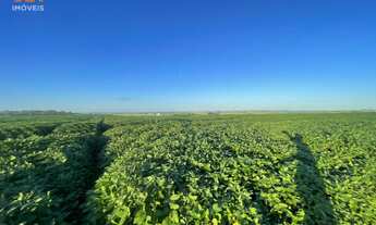 Imagem 2: Fazenda com 3 Dormitorio(s) localizado(a) no bairro em Santa Margarida do Sul / Rio Gran