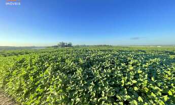 Imagem 3: Fazenda com 3 Dormitorio(s) localizado(a) no bairro em Santa Margarida do Sul / Rio Gran