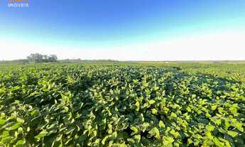 Imagem 5: Fazenda com 3 Dormitorio(s) localizado(a) no bairro em Santa Margarida do Sul / Rio Gran