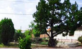 Imagem 2: Terreno com 4 Dormitorio(s) localizado(a) no bairro Centenário em Sapiranga / Rio Grande