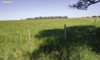 Imagem: Fazenda com 4 Dormitorio(s) localizado(a)