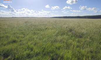 Imagem 3: Área de Terra com 4 Dormitorio(s) localizado(a) no bairro em Manoel Viana / Rio Grande d