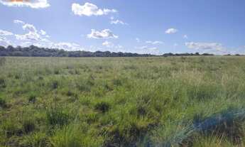 Imagem 5: Área de Terra com 4 Dormitorio(s) localizado(a) no bairro em Manoel Viana / Rio Grande d