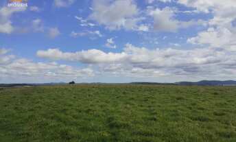 Imagem 3: Área de Terra com 4 Dormitorio(s) localizado(a) no bairro em Barra do Ribeiro / Rio Gran