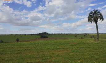 Imagem 4: Área de Terra com 4 Dormitorio(s) localizado(a) no bairro em Barra do Ribeiro / Rio Gran