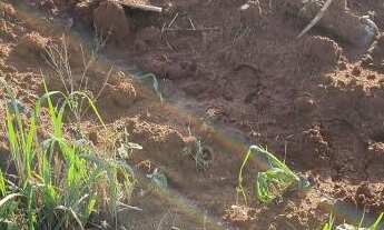 Imagem: Terreno com 3 Dormitorio(s) localizado(a)