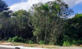 Imagem 3: Área industrial, 50000M² de Área Total