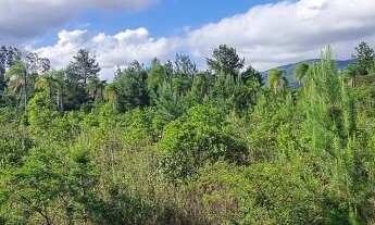 Imagem 4: Área industrial, 50000M² de Área Total