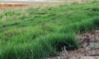 Imagem 2: Área industrial, 50000M² de Área Total