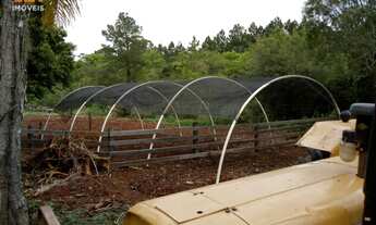 Imagem 6: Chácara com 2 Dormitorio(s) localizado(a) no bairro Centro em Nova Hartz / Rio Grande do