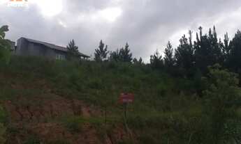 Imagem 4: Terreno com 3 Dormitorio(s) localizado(a) no bairro São Jacó em Sapiranga / Rio Grande do