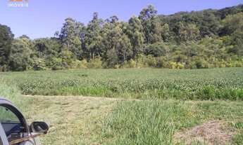 Imagem 3: Área de Terra com 2 Dormitorio(s) localizado(a) no bairro em Herveiras / Rio Grande do S