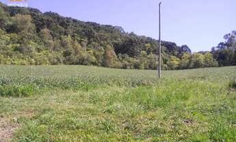 Imagem 4: Área de Terra com 2 Dormitorio(s) localizado(a) no bairro em Herveiras / Rio Grande do S