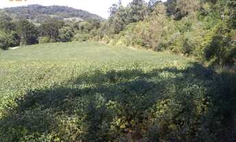 Imagem 5: Área de Terra com 2 Dormitorio(s) localizado(a) no bairro em Herveiras / Rio Grande do S
