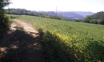 Imagem 2: Área de Terra com 2 Dormitorio(s) localizado(a) no bairro em Herveiras / Rio Grande do S