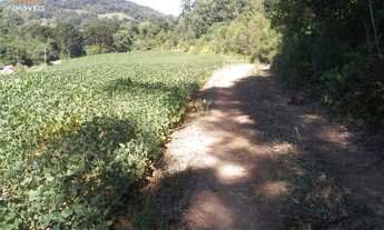 Imagem 6: Área de Terra com 2 Dormitorio(s) localizado(a) no bairro em Herveiras / Rio Grande do S