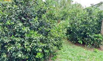 Imagem 7: Casa com 2 Dormitorio(s) localizado(a) no bairro Floresta em Sapiranga / Rio Grande do Su