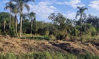 Imagem 7: Chácara com 2 Dormitorio(s) localizado(a) no bairro Campo Vicente em Nova Hartz / Rio Gra