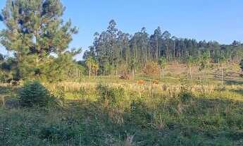 Imagem 3: Chácara com 2 Dormitorio(s) localizado(a) no bairro Campo Vicente em Nova Hartz / Rio Gra